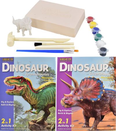 Jurassic Era 2 in 1 Activity Kit...Assorted Picked At Random
